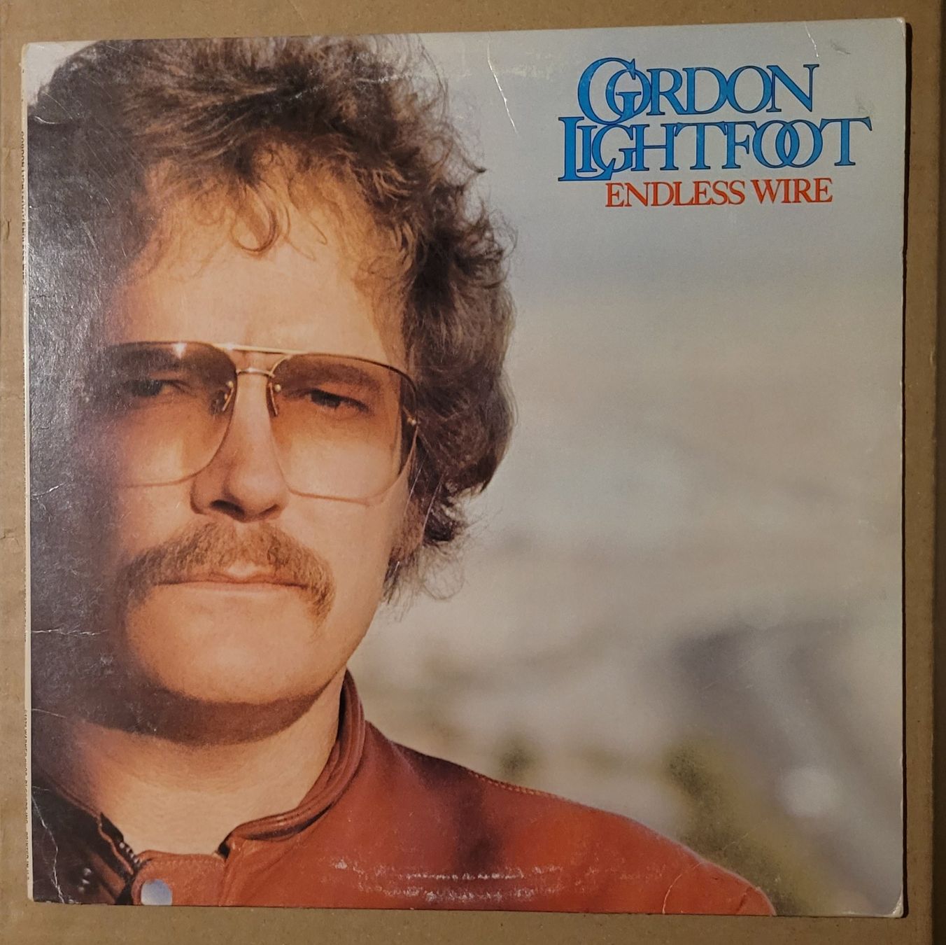 Dischi in vinile: Gordon Lightfoot – Endless Wire – Usato da Zürich venduto da Avd 1