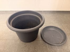 grauer Blumentopf mit Untersetzer