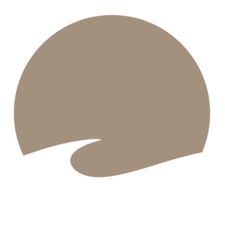 Profile image of rareshit