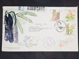 CL25 Enveloppe + Timbre Indonésie 2004