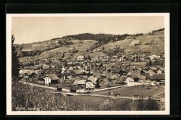Langnau i. E., Gesamtansicht aus der Vog