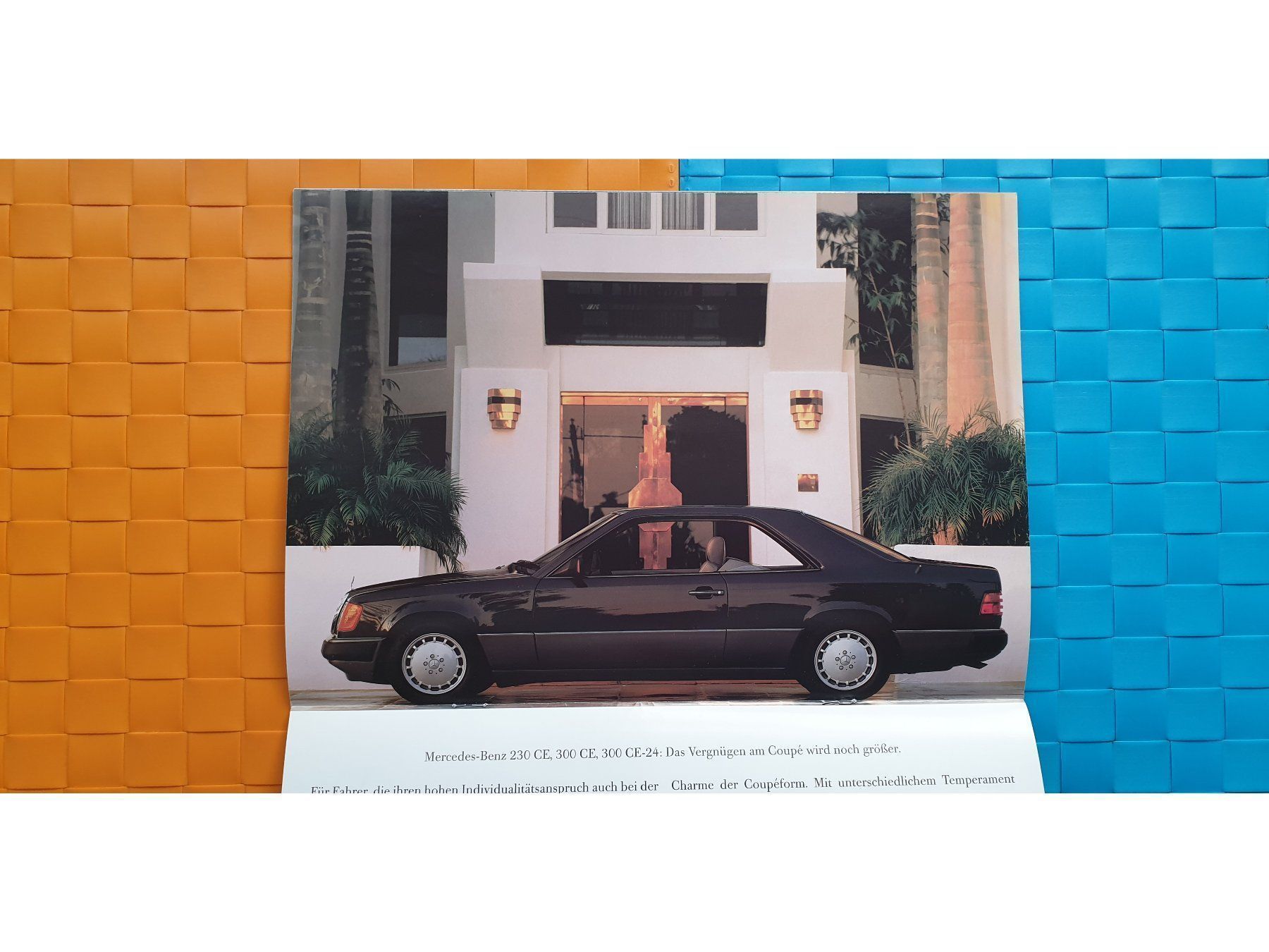 Riviste & Magazine: MERCEDES PROGRAMM 1989 - Prospekt / Katalog – Nuovo (secondo la descrizione) da Viganello venduto da CARLiteratur 2