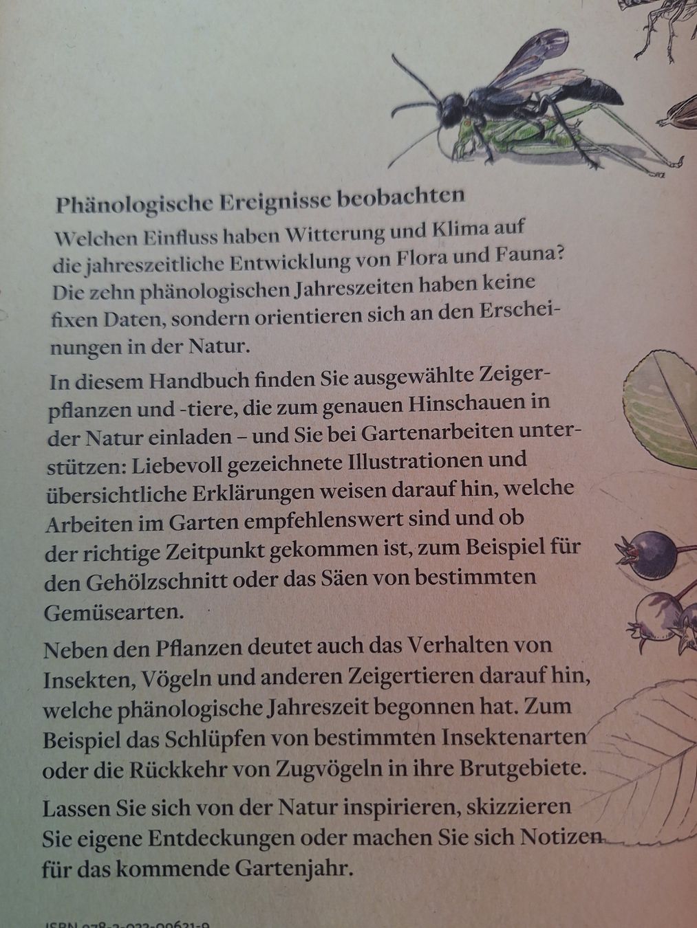 Libri: 5 STK GARTENBÜCHER RATGEBER – Usato da Huttwil venduto da Kunterbuntli 3