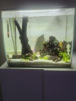 Aquarium Fluval Flex