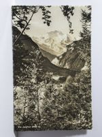 Die Jungfrau