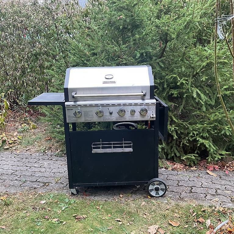 Griglie: Gas Grill – Usato da Domat Ems venduto da ern_vs8s 2