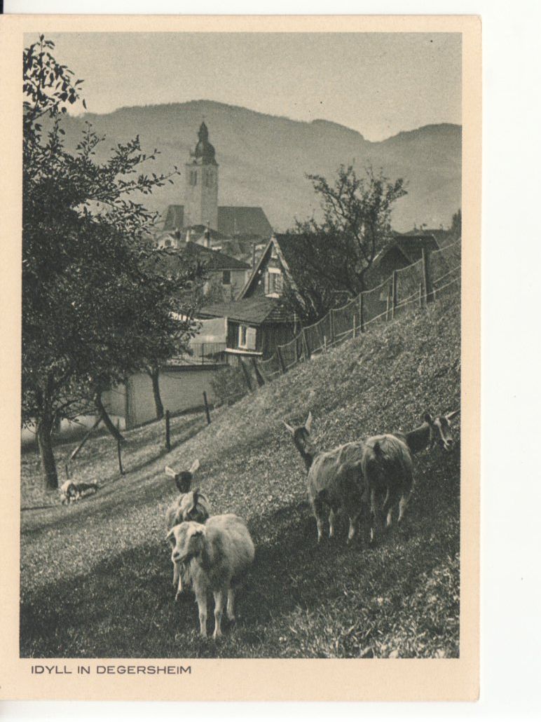Cartoline postali: Degersheim ca. 1940, Leibacher Photo – Usato da Bürglen TG venduto da StampGraf