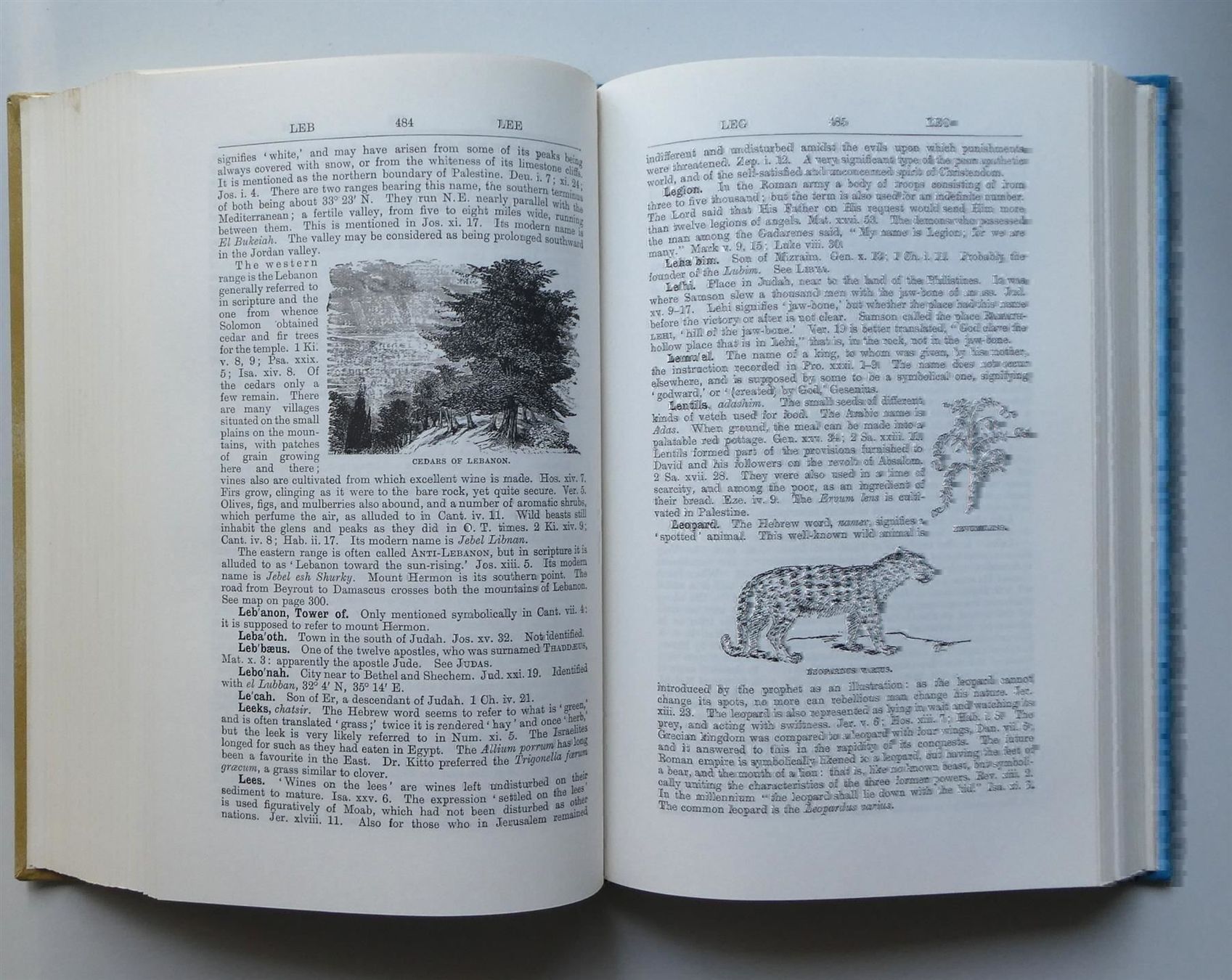 Libri: Morrish New and Concise Bibel Wörterbuch Lexikon – Usato da Frauenfeld venduto da Astra13 7