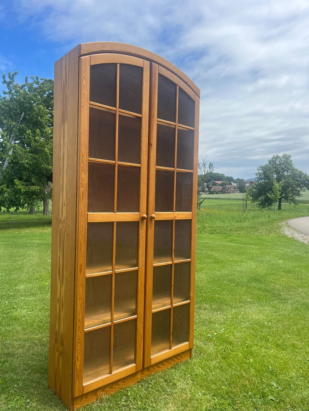 Vetrine: Vitrine mit 2 Türen – Usato da Allmendingen b. BE venduto da juair