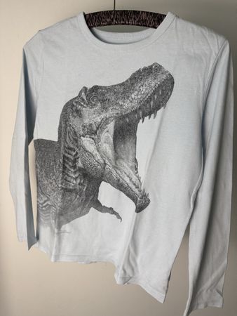 Kids long sleeve dinosaur t-shirt, size 10 (134-146)