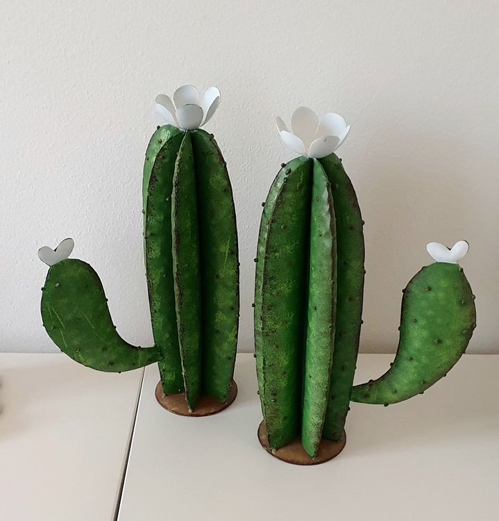 Deko Kaktus  Kaufen auf Ricardo
