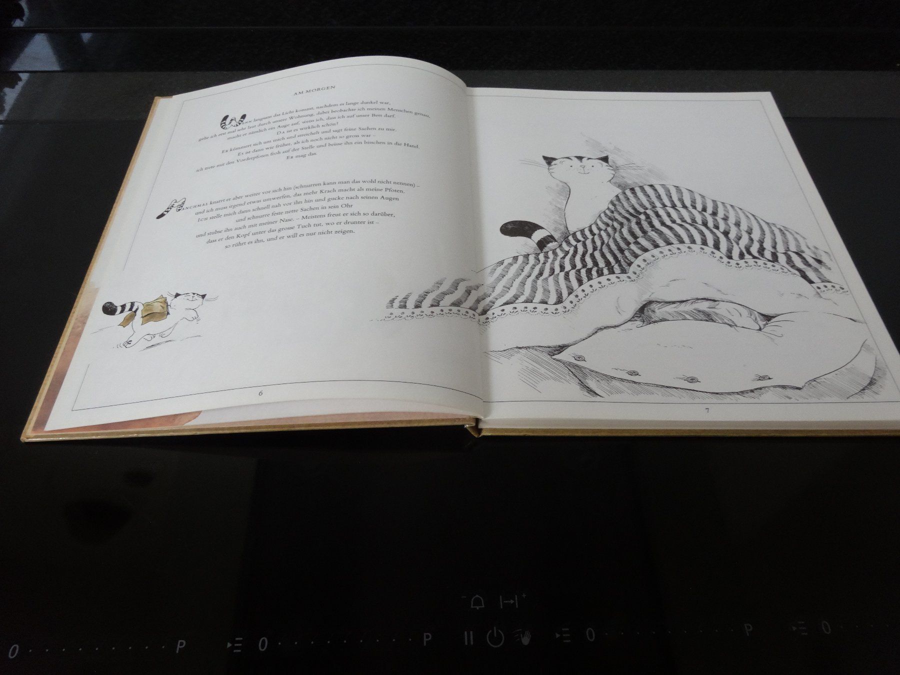 Libri: Jakob Extra Katzengeschichten Benteli Bern – Usato da Neerach venduto da jenny062 2