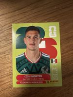 Panini Fifa MEX 5