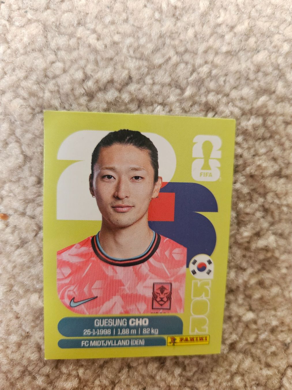 Panini Carte collezionabili: Carte Panini WM 2026 – Usato da Henniez venduto da Tjiminy