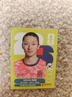 Carte Panini WM 2026
