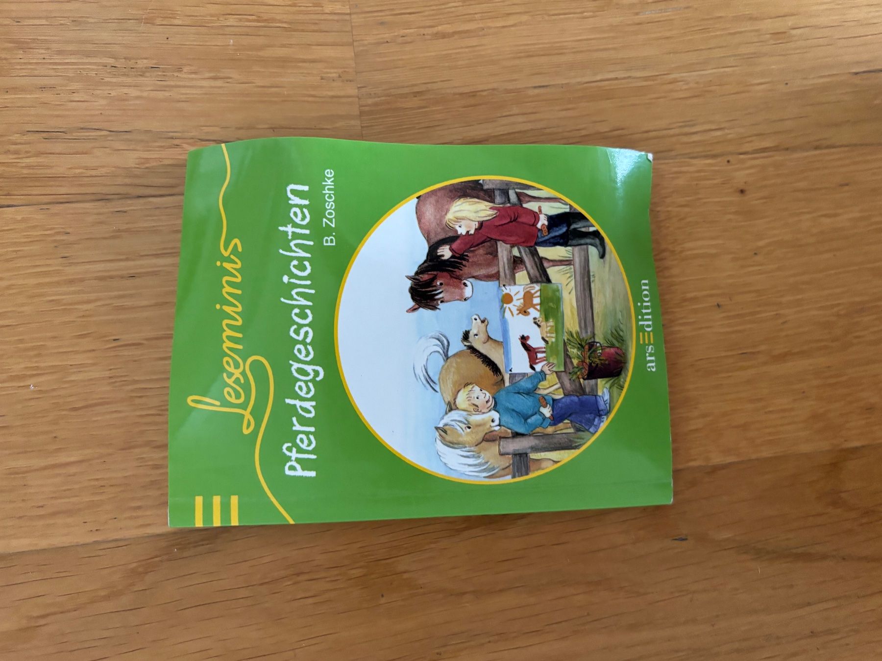Libri: Pferdegeschichten – Usato da Winterthur venduto da rtk_c8y6