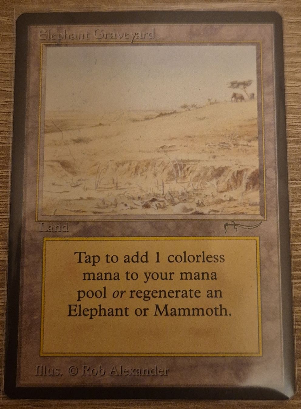 Magic The Gathering Sammelbilder & Trading cards: Carte Magic The Gathering - Allosaurus Graveyard – Neu (gemäss Beschreibung) aus Genève von Bayoushi