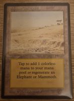 Carte Magic The Gathering - Allosaurus Graveyard