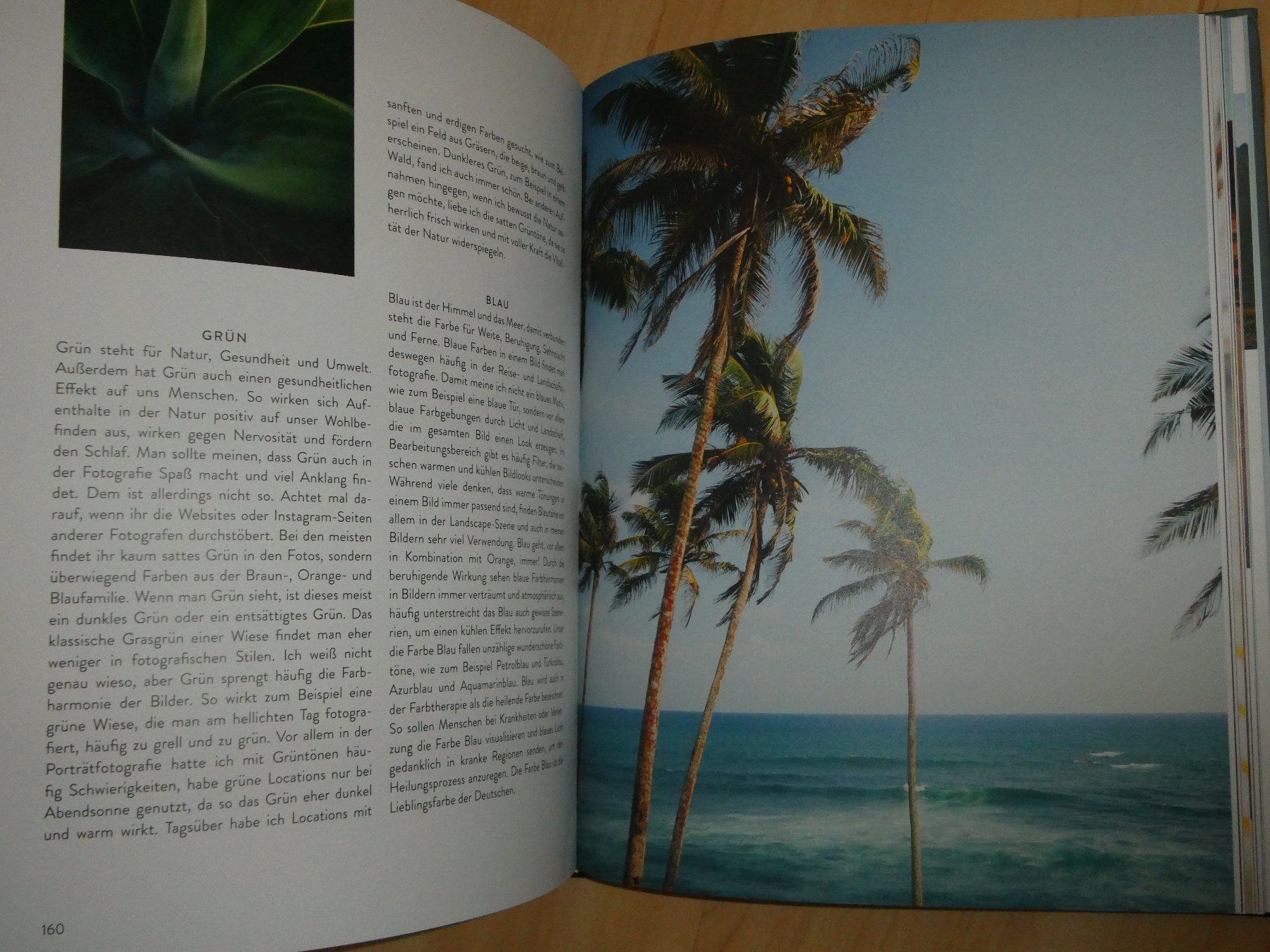 Libri: Fotografie - Ratgeber – Nuovo (secondo la descrizione) da Mels venduto da KOSL 1