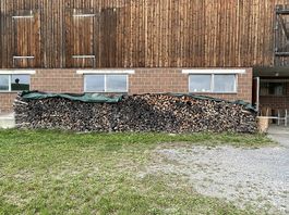 Total 5,8 Ster Brennholz zu verkaufen