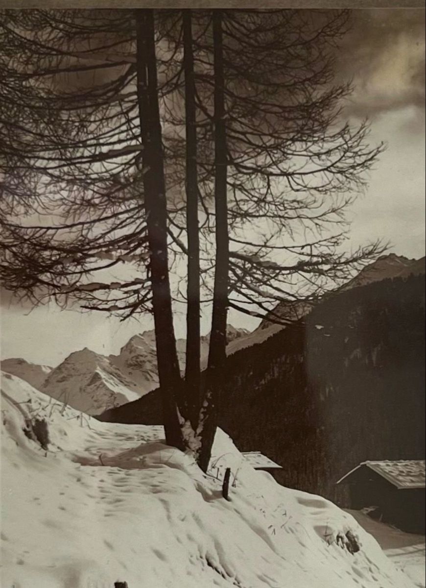 Foto & Immagini: Antiquarische Bergfotografie – Usato da Rain venduto da Pic-Ass 2