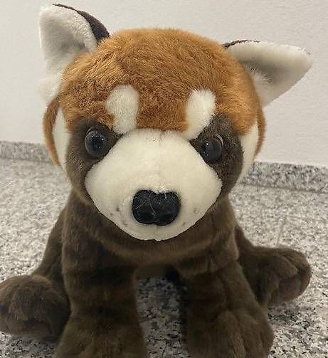 Giocattoli: Kuscheltier "Roter Panda" – Usato da Zug venduto da Sotto2025