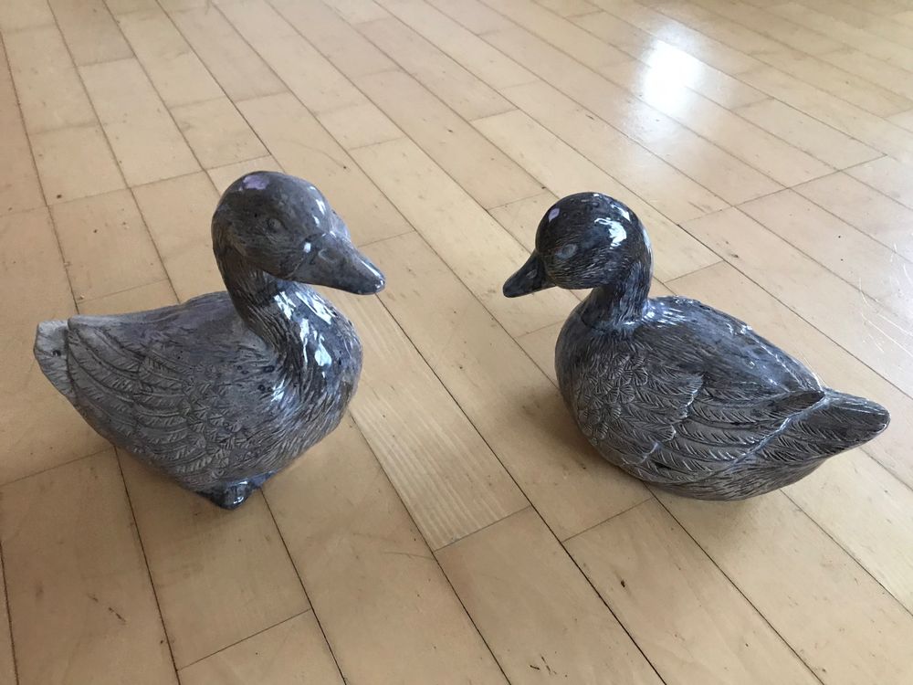 Garten Enten Kaufen auf Ricardo