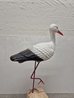 Storch
