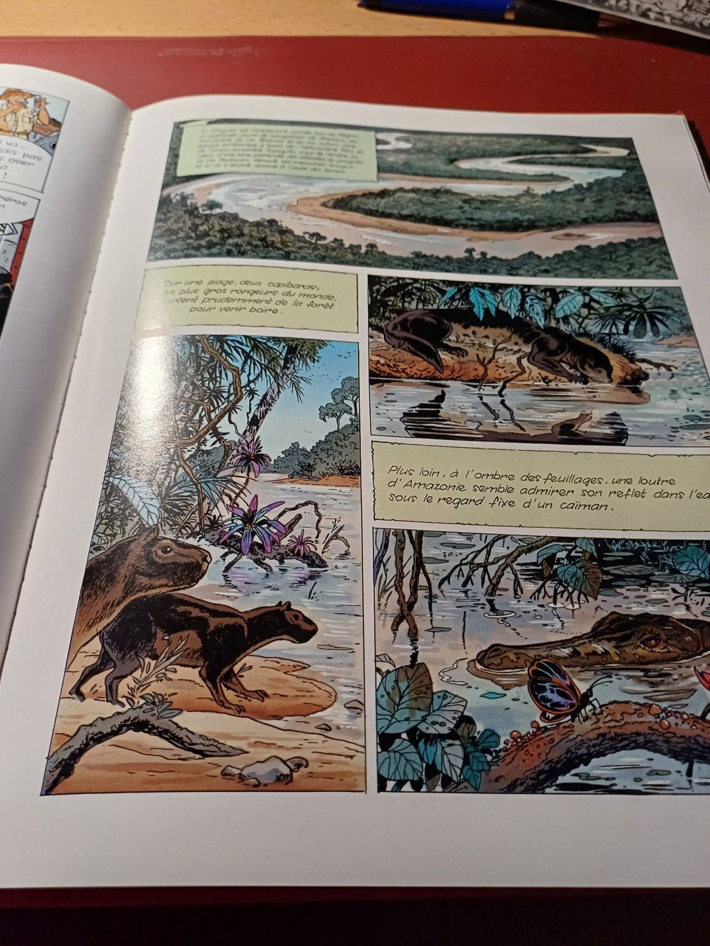Fumetti: La forêt blessée – Nuovo (secondo la descrizione) da Porrentruy venduto da Piquetix 1