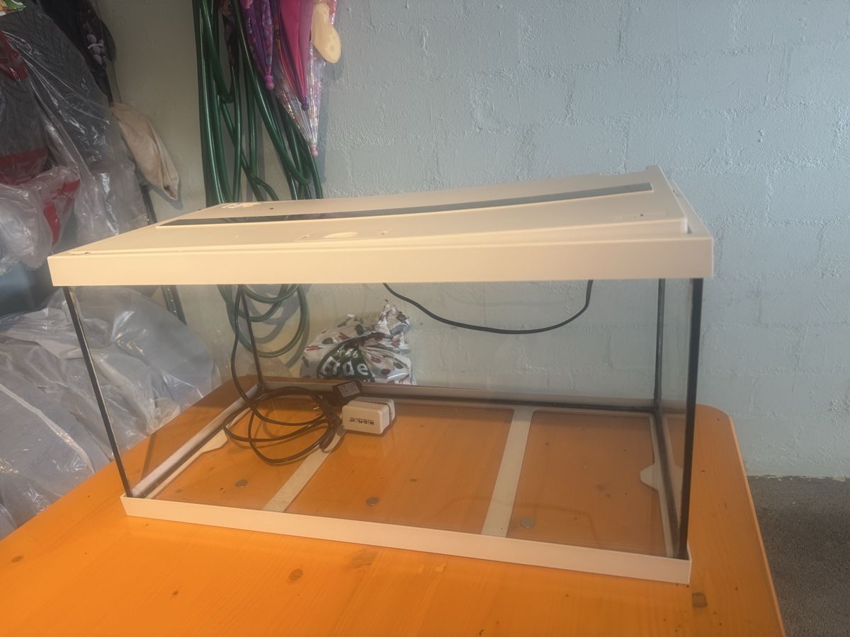 Aquarium: Aquarium – Gebraucht aus Hinteregg von keke019