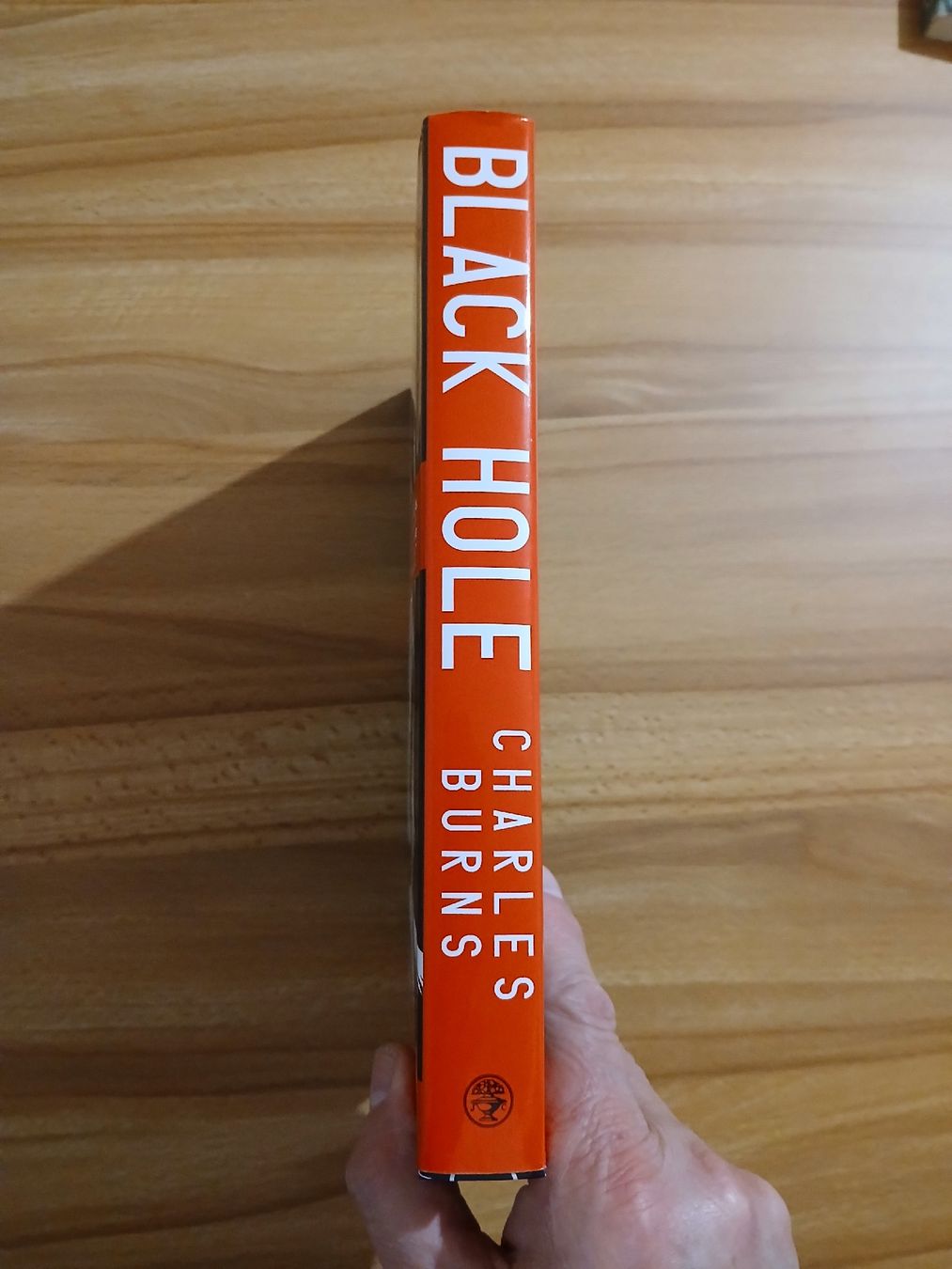 Libri: Black Hole – Usato da Le Sentier venduto da arc_2thy 2