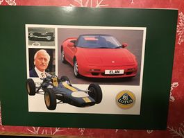 Lotus Faltprospekt in deutscher Sprache