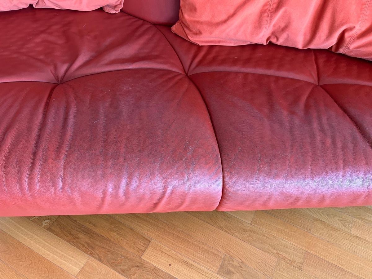 De Sede Divani: Sofa De Sede DS102 Shell rot Leder Mathias Hoffmann – Usato da Seengen venduto da murmelo 3