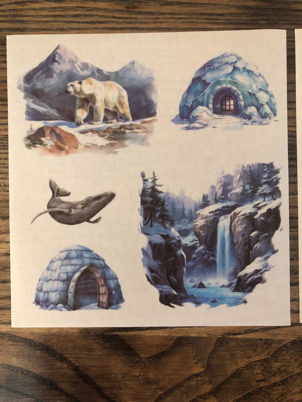 Sticker: Sticker Aufkleber Scrapbook Berge Winter Schnee – Nuovo (secondo la descrizione) da Berg am Irchel venduto da Zweiti_Chance 3