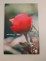 Neues Leinwandbild, 60x90cm. originalverpackt