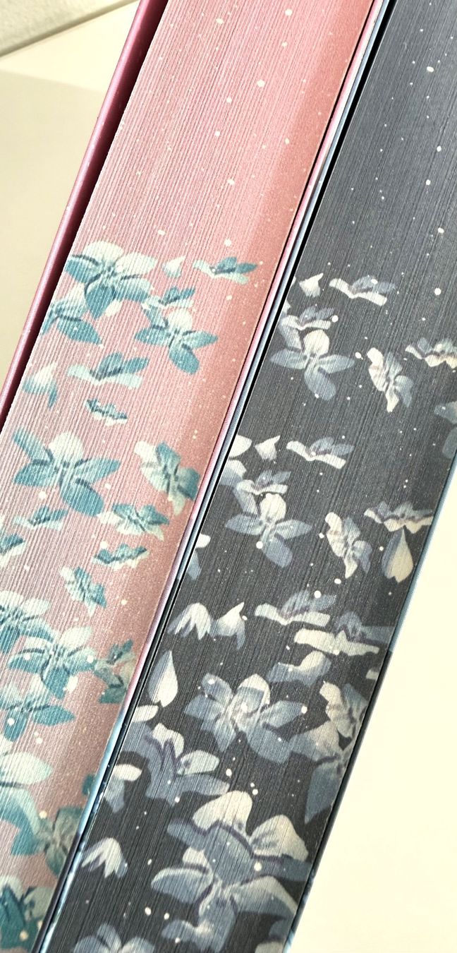 Libri: Basma Hallak - Dilogie / Bücherset – Nuovo (secondo la descrizione) da Eichberg venduto da Lolapop18 2