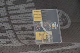 BSC YB Rarität - Tornetzstück vom Cupfinal 2023 (10/15)