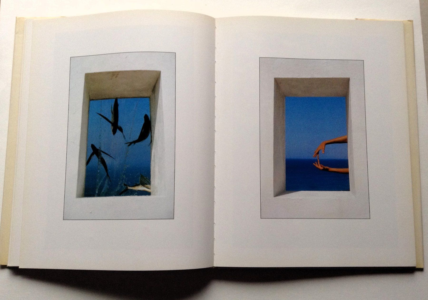 Libri: Fotobuch von Gunter Sachs, Licht Bilder – Usato da Alpnach Dorf venduto da MZ001 2