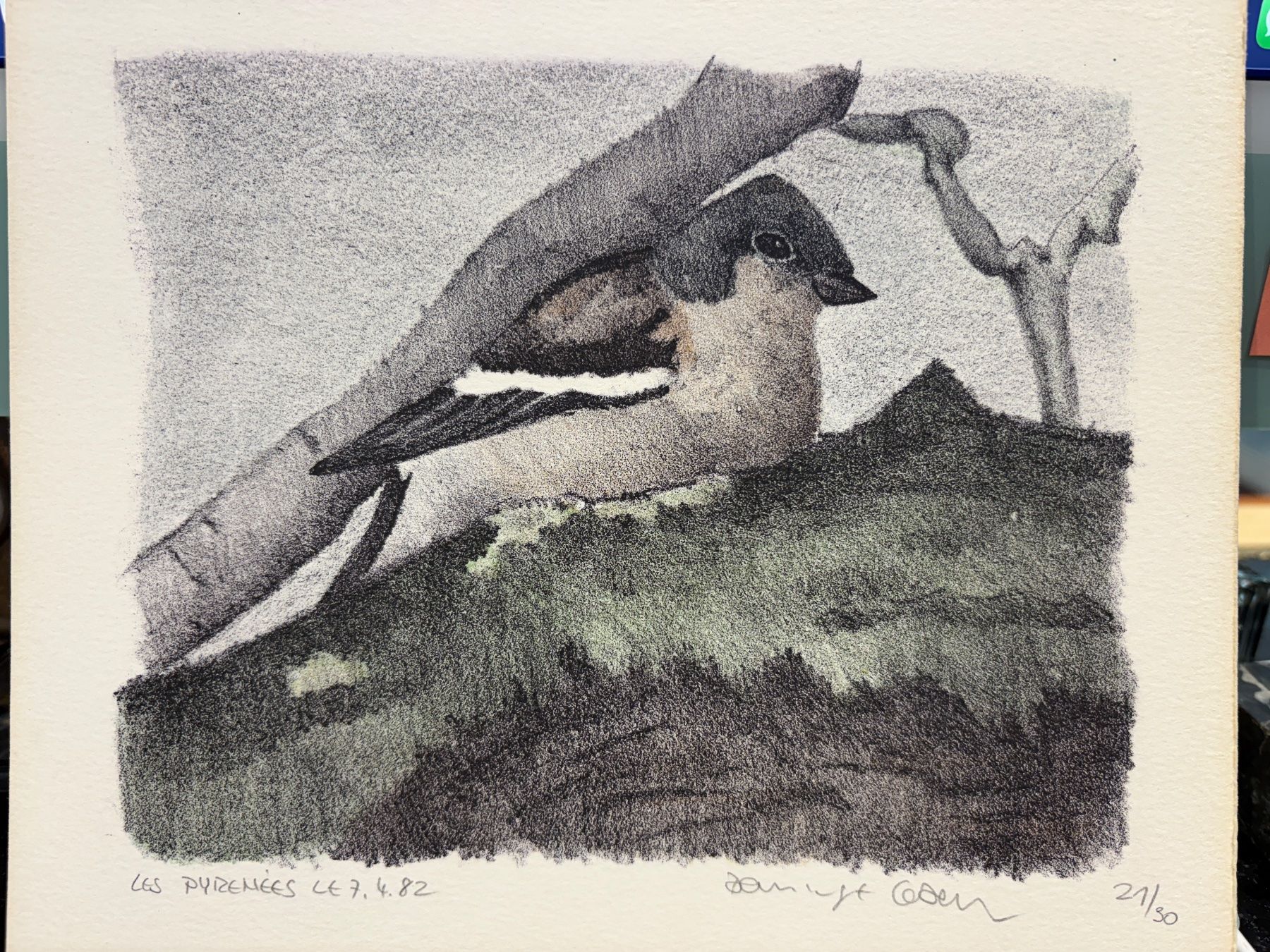 Grafica & Litografie: DOMINIQUE COSANDEY LITHOGRAPHIE ORIGINALE "OISEAU" – Usato da Genève venduto da aic_p8ld 2