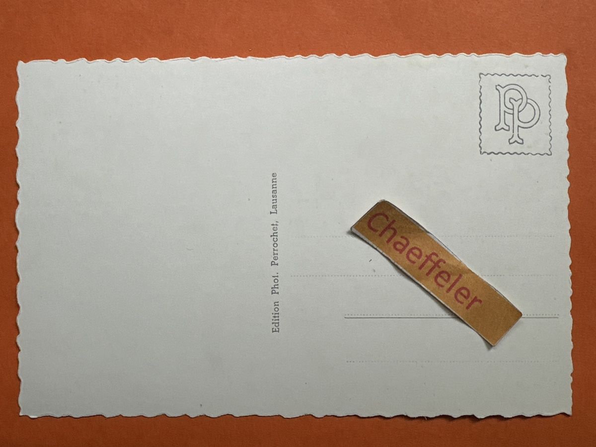 Cartoline postali: Val de Champex er Dts du Midi. – Usato da Zürich venduto da Chaeffeler 1