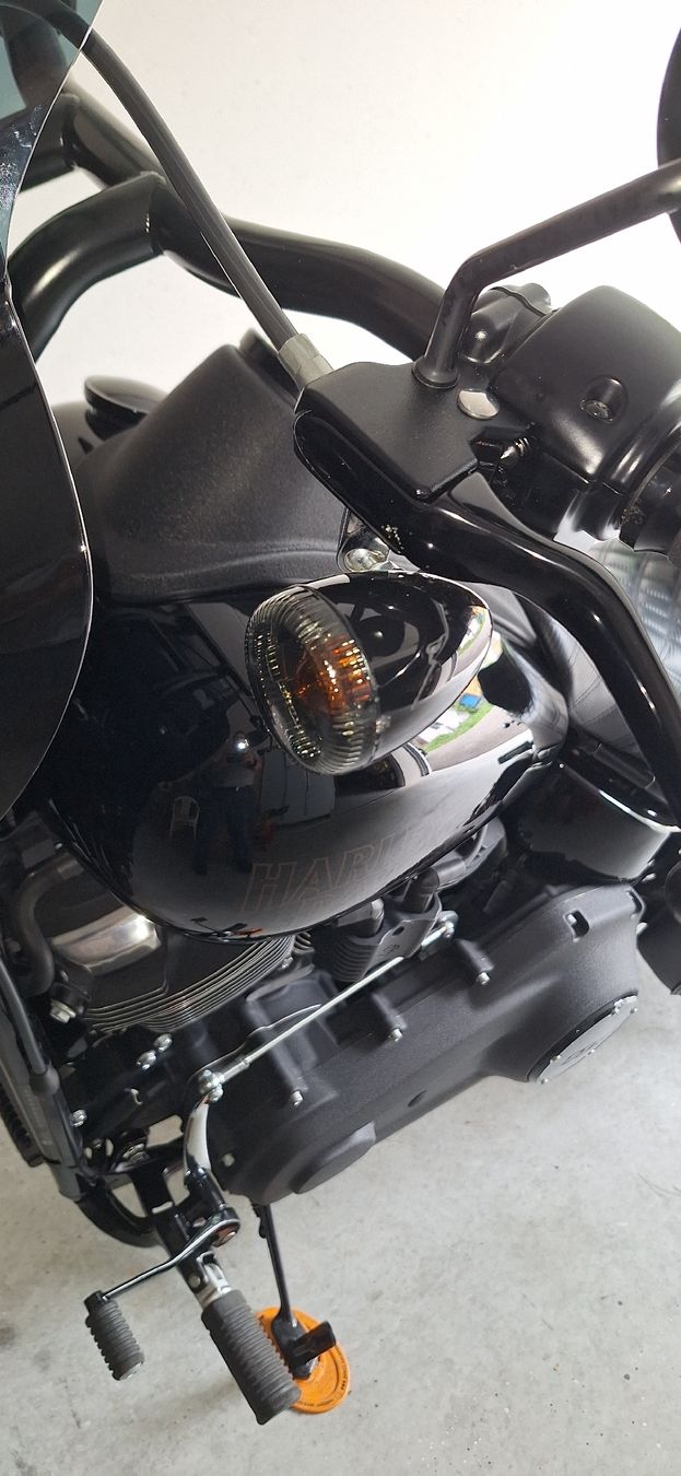 Harley-Davidson Chopper: Harley-Davidson Low Rider s – Usato da Worben venduto da Ran_x2gp 5