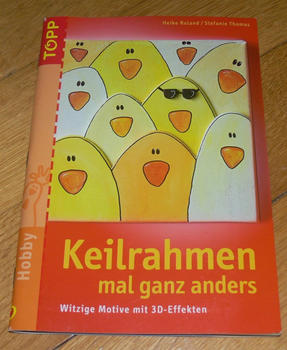 Libri: * Keilrahmen mal ganz anders / Topp 2005 - 3D Effekt – Usato da Muttenz venduto da Negnuja