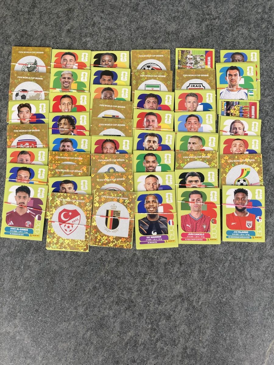 Panini Cartes à collectionner: 100 Panini Bilder – D'occasion à Rorbas par Benschj01