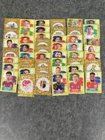 100 Panini Bilder