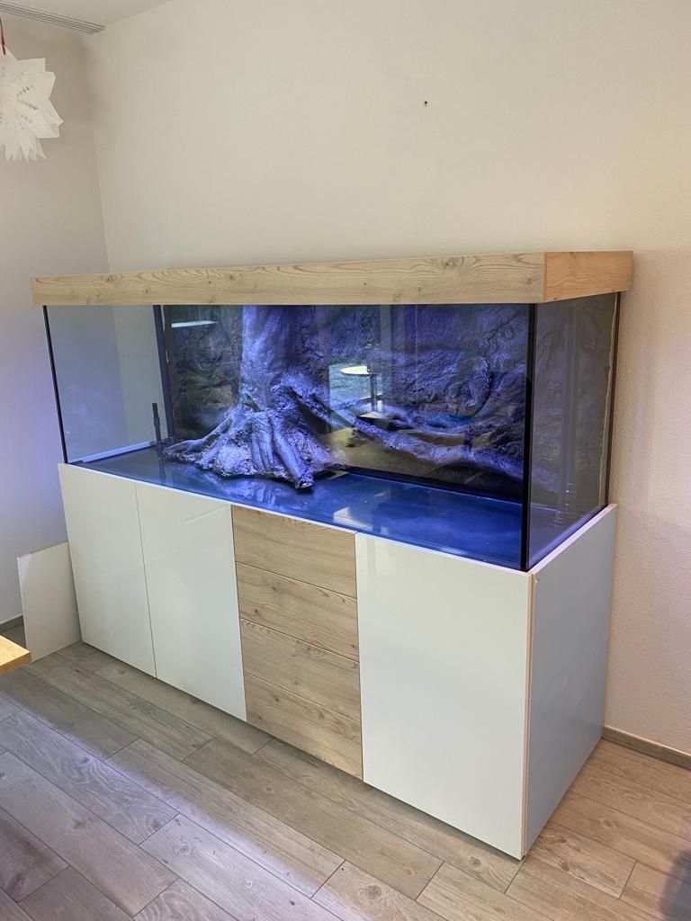 Acquari: Aquarium 200x60x60 komplett – Nuovo (secondo la descrizione) da Berikon venduto da fischundart 1