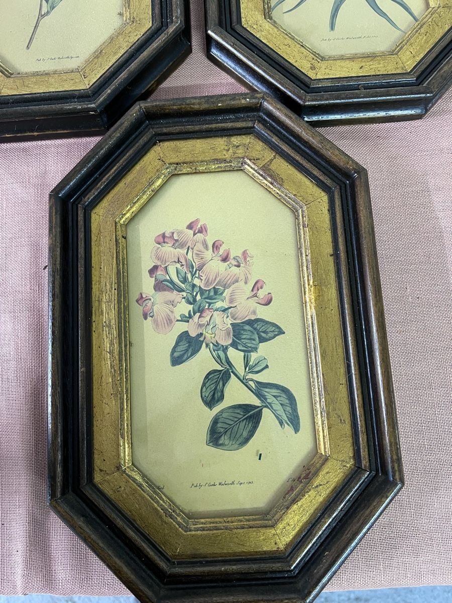 Posters & Illustrations: 3 Antike  Blumenbilder (2) – D'occasion à Glattfelden par brockischweiz 6