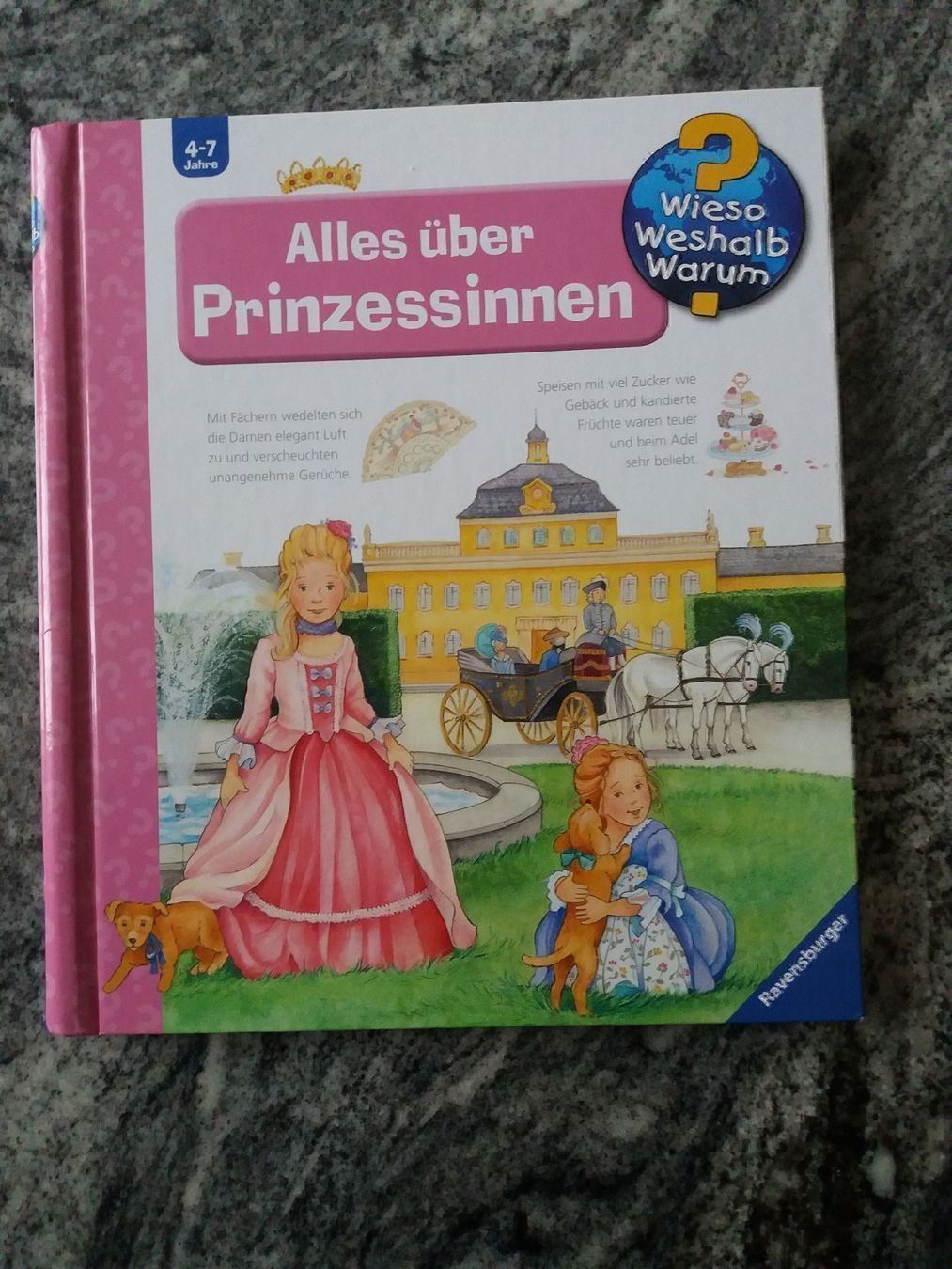 Libri: Alles über Prinzessinnen – Usato da Chur venduto da Nisami