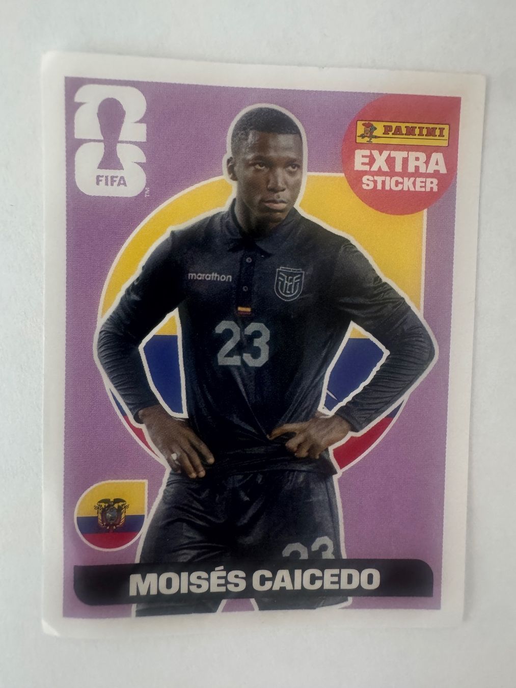 Panini Cartes à collectionner: Panini Extra Sticker Moises Caicedo – Neuf (Voir description) à Basel par Derian01