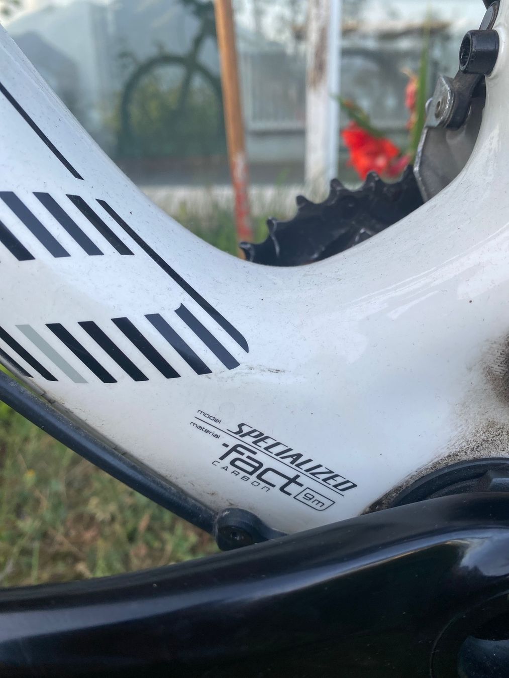 Specialized Velos: Specialized 2014 Epic Comp Carbon 29 – Gebraucht aus Bern von  9
