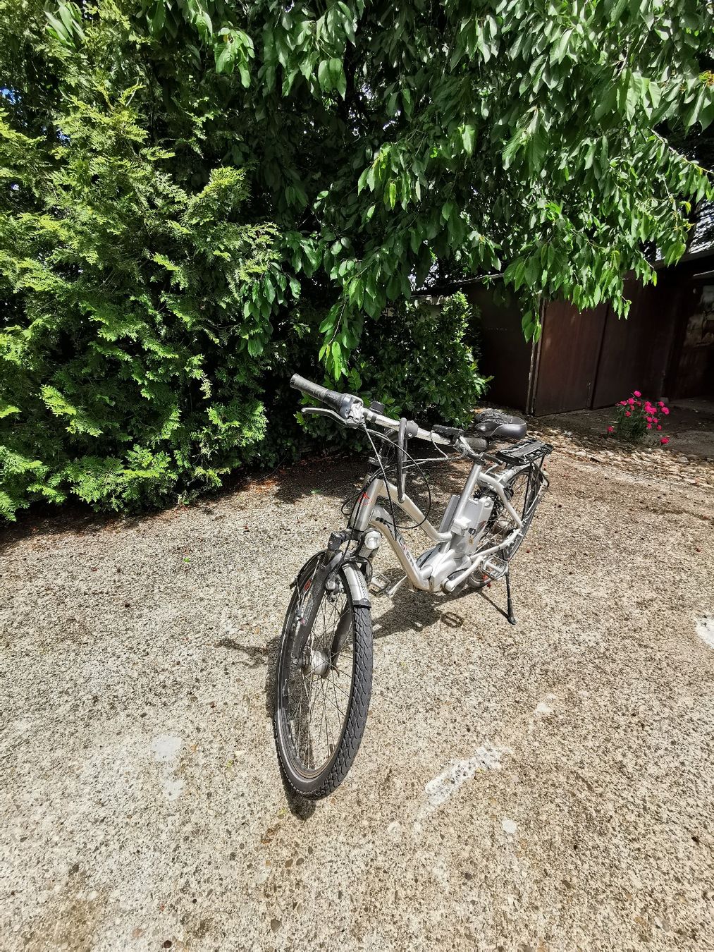 Flyer Vélos: Flyer E-Bike  – Défectueux à Rothenhausen par Sipuch 1